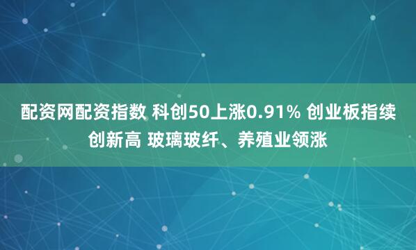 配资网配资指数 科创50上涨0.91% 创业板指续创新高 玻璃玻纤、养殖业领涨